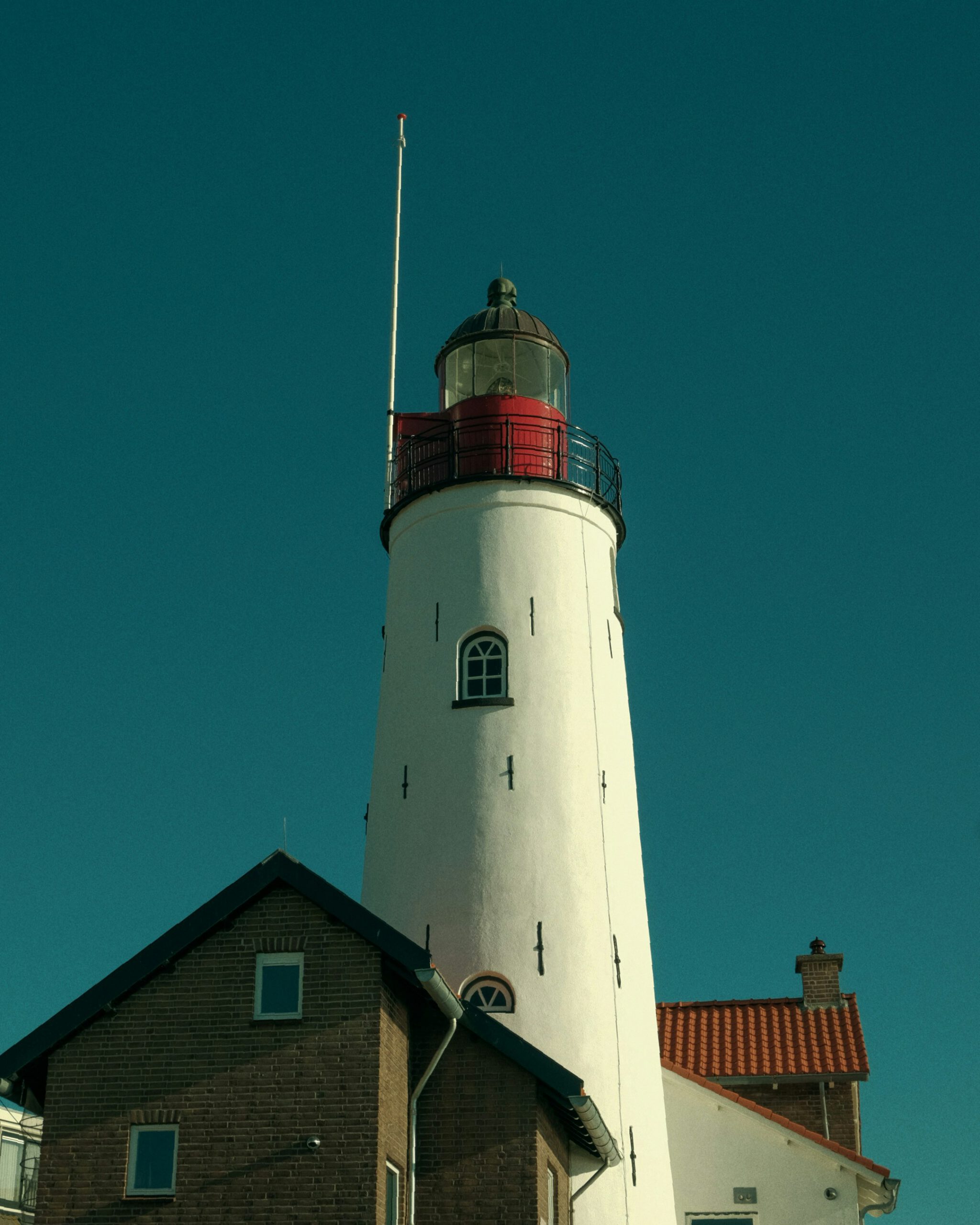 willy-the-wizard-YzVx_g0-lAQ-unsplash